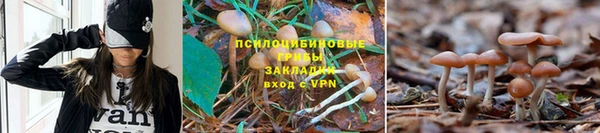 прущая мука Навашино