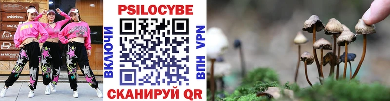 где купить   Отрадная  hydra ONION  Галлюциногенные грибы MAGIC MUSHROOMS 