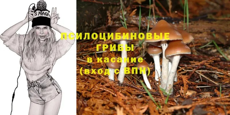 Галлюциногенные грибы Cubensis  мориарти формула  Отрадная  блэк спрут рабочий сайт 